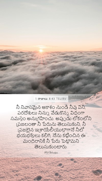 1 రాజులు 8:43 TELIRV Bible Verse Image