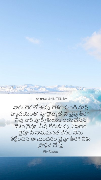 1 రాజులు 8:48 TELIRV Bible Verse Image