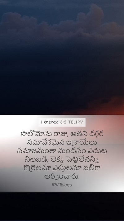 1 రాజులు 8:5 TELIRV Bible Verse Image