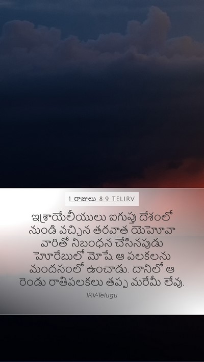 1 రాజులు 8:9 TELIRV Bible Verse Image