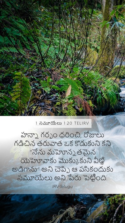 1 సమూయేలు 1:20 TELIRV Bible Verse Image