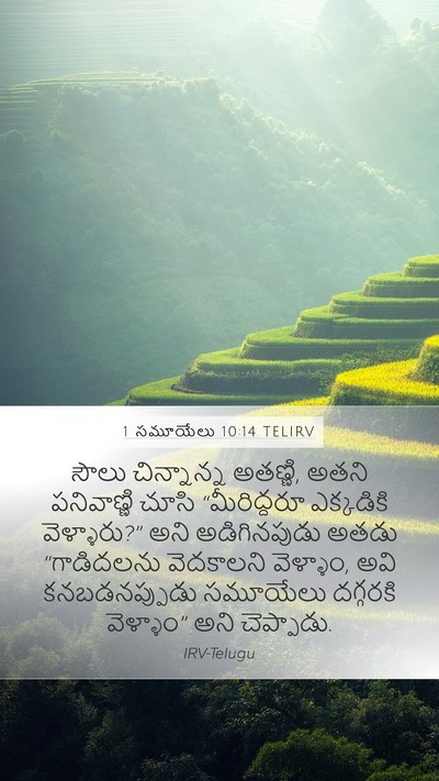 1 సమూయేలు 10:14 TELIRV Mobile Phone Wallpaper - సౌలు చిన్నాన్న - Mobile Bible Verse Wallpaper