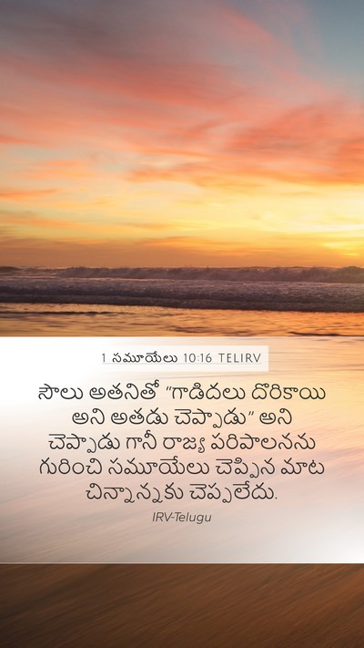 1 సమూయేలు 10:16 TELIRV Bible Verse Image