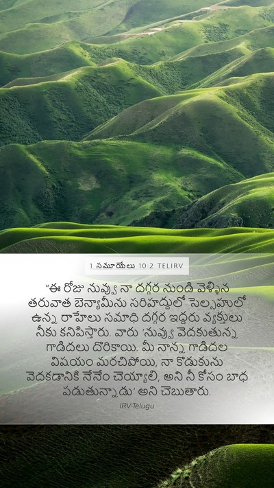 1 సమూయేలు 10:2 TELIRV Bible Verse Image