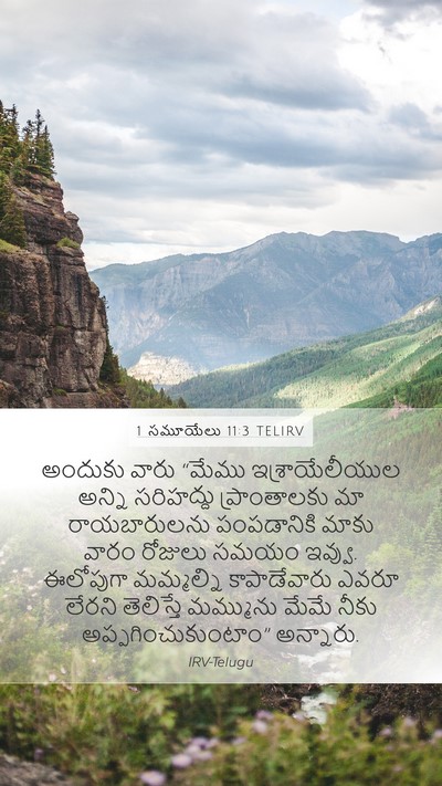 1 సమూయేలు 11:3 TELIRV Bible Verse Image