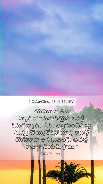 1 సమూయేలు 13:14 TELIRV Bible Verse Image