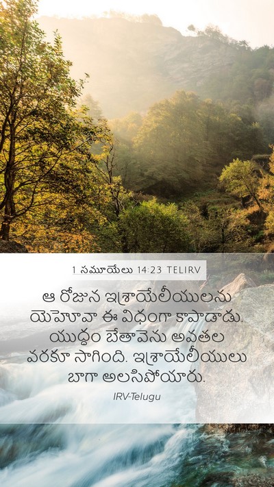 1 సమూయేలు 14:23 TELIRV Bible Verse Image