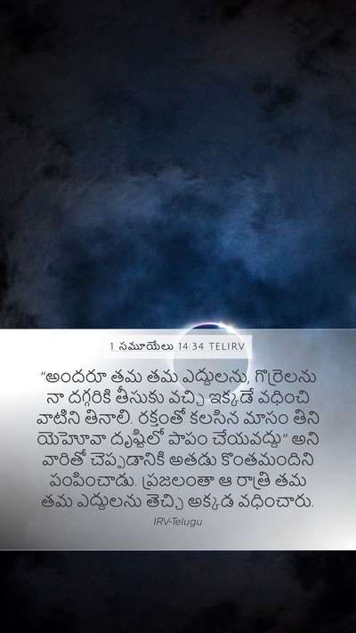 1 సమూయేలు 14:34 TELIRV Mobile Phone Wallpaper - “అందరూ తమ తమ - Mobile Bible Verse Wallpaper