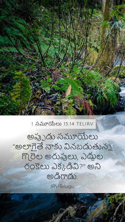 1 సమూయేలు 15:14 TELIRV Mobile Phone Wallpaper - అప్పుడు సమూయేలు - Mobile Bible Verse Wallpaper