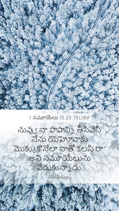 1 సమూయేలు 15:25 TELIRV Mobile Phone Wallpaper - నువ్వు నా - Mobile Bible Verse Wallpaper
