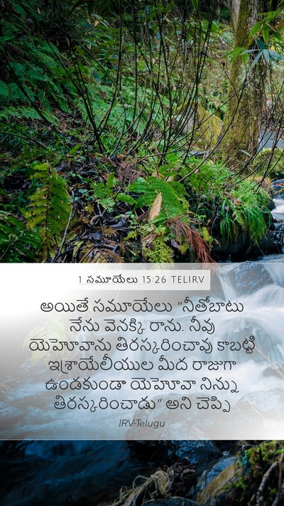 1 సమూయేలు 15:26 TELIRV Bible Verse Image