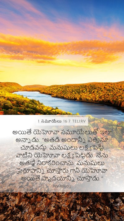 1 సమూయేలు 16:7 TELIRV Bible Verse Image
