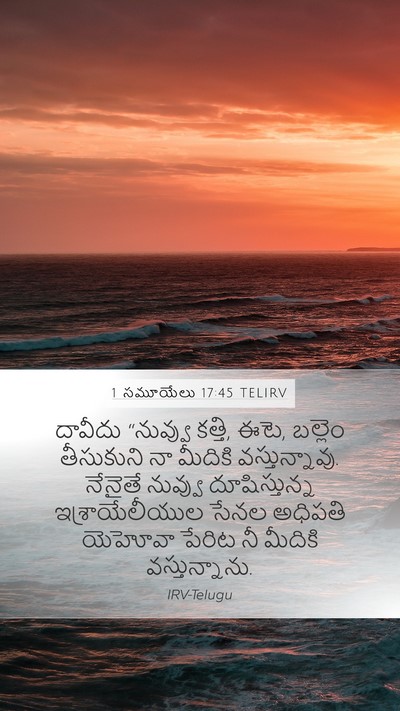 1 సమూయేలు 17:45 TELIRV Bible Verse Image