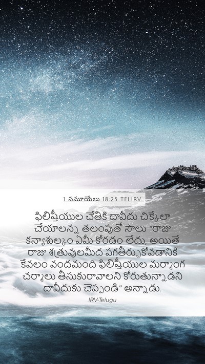 1 సమూయేలు 18:25 TELIRV Bible Verse Image