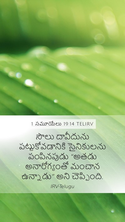 1 సమూయేలు 19:14 TELIRV Bible Verse Image