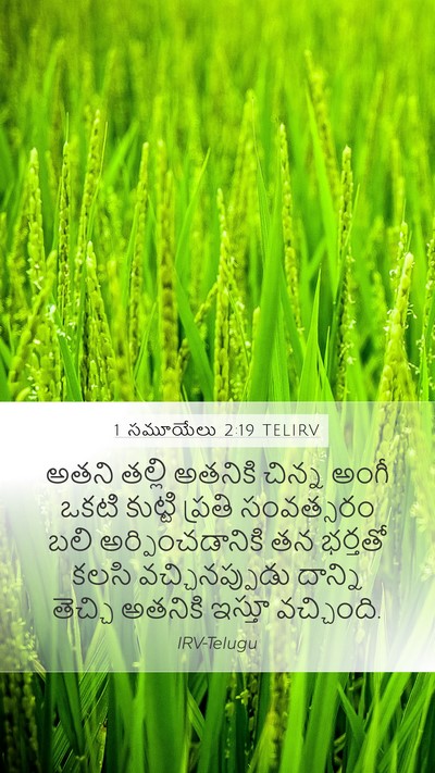 1 సమూయేలు 2:19 TELIRV Bible Verse Image