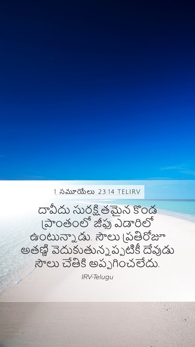 1 సమూయేలు 23:14 TELIRV Bible Verse Image