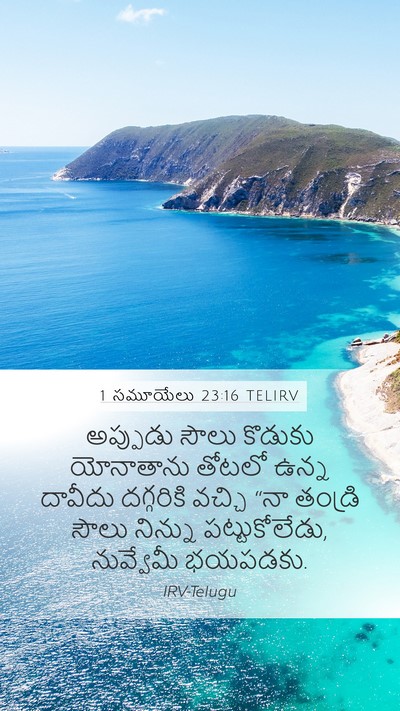 1 సమూయేలు 23:16 TELIRV Bible Verse Image