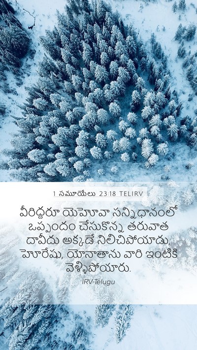 1 సమూయేలు 23:18 TELIRV Bible Verse Image