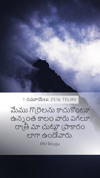 1 సమూయేలు 25:16 TELIRV Bible Verse Image