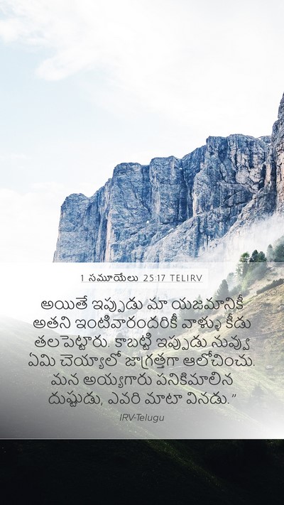 1 సమూయేలు 25:17 TELIRV Bible Verse Image
