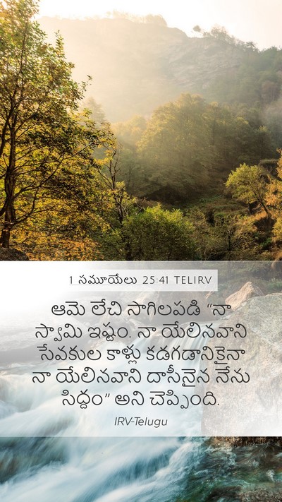 1 సమూయేలు 25:41 TELIRV Bible Verse Image