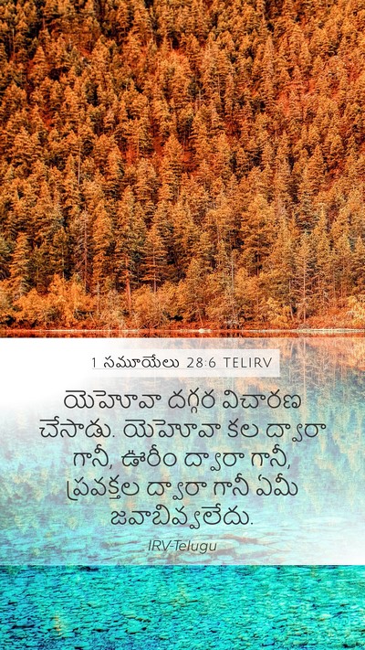 1 సమూయేలు 28:6 TELIRV Bible Verse Image
