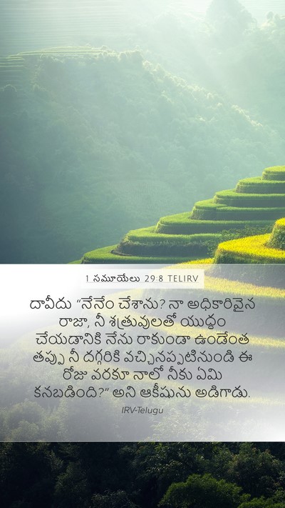 1 సమూయేలు 29:8 TELIRV Mobile Phone Wallpaper - దావీదు “నేనేం - Mobile Bible Verse Wallpaper