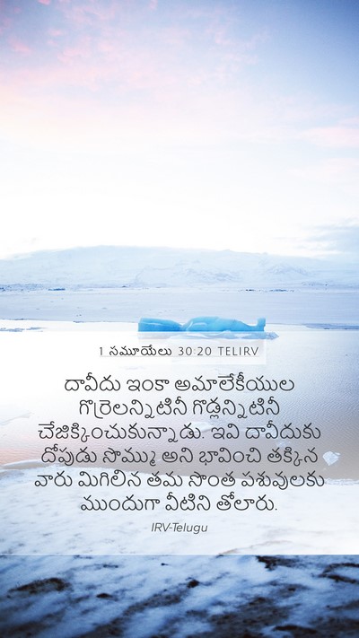 1 సమూయేలు 30:20 TELIRV Bible Verse Image