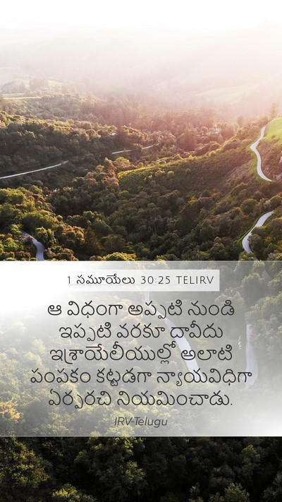 1 సమూయేలు 30:25 TELIRV Bible Verse Image