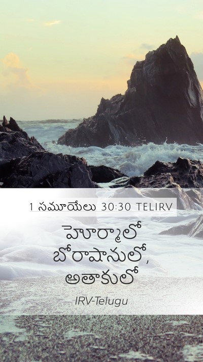 1 సమూయేలు 30:30 TELIRV Bible Verse Image