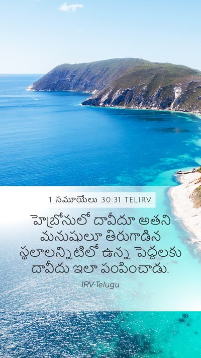 1 సమూయేలు 30:31 TELIRV Bible Verse Image