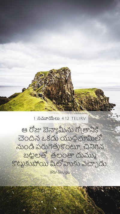 1 సమూయేలు 4:12 TELIRV Bible Verse Image