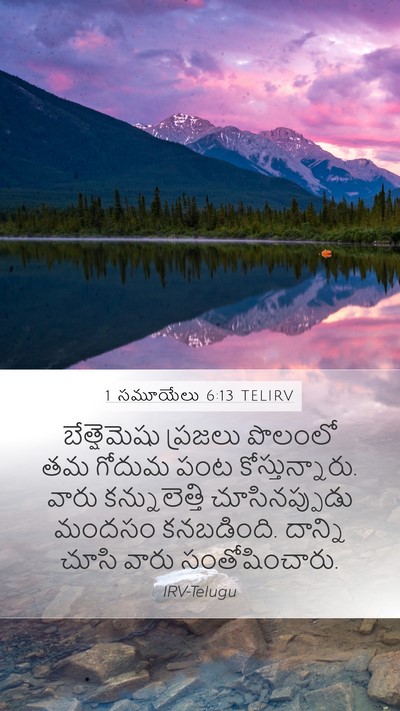 1 సమూయేలు 6:13 TELIRV Mobile Phone Wallpaper - బేత్షెమెషు ప్రజలు - Mobile Bible Verse Wallpaper