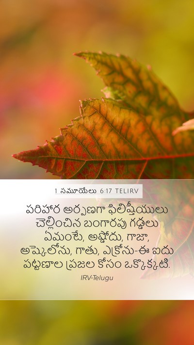 1 సమూయేలు 6:17 TELIRV Bible Verse Image