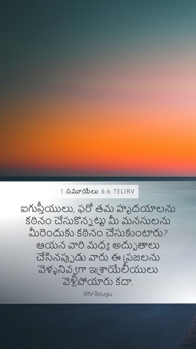 1 సమూయేలు 6:6 TELIRV Bible Verse Image