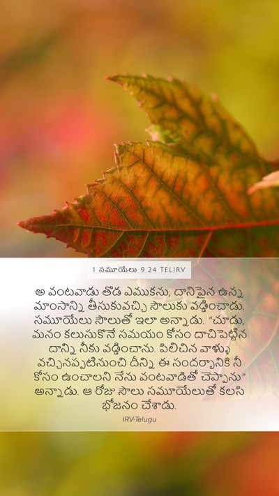 1 సమూయేలు 9:24 TELIRV Mobile Phone Wallpaper - అ వంటవాడు తొడ - Mobile Bible Verse Wallpaper