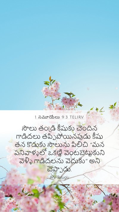 1 సమూయేలు 9:3 TELIRV Bible Verse Image