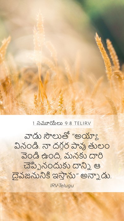 1 సమూయేలు 9:8 TELIRV Mobile Phone Wallpaper - వాడు సౌలుతో - Mobile Bible Verse Wallpaper
