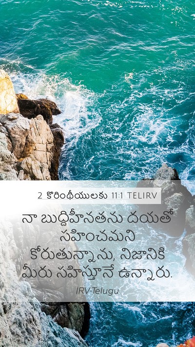 2 కొరింథీయులకు 11:1 TELIRV Bible Verse Image