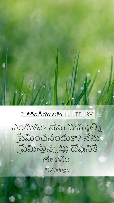 2 కొరింథీయులకు 11:11 TELIRV Bible Verse Image