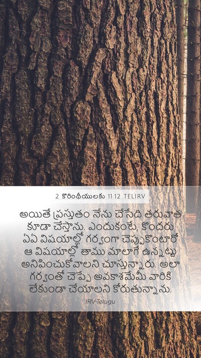 2 కొరింథీయులకు 11:12 TELIRV Bible Verse Image
