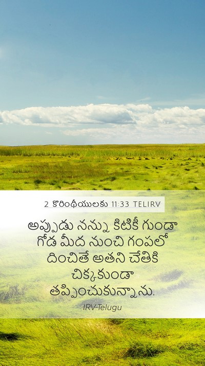 2 కొరింథీయులకు 11:33 TELIRV Bible Verse Image