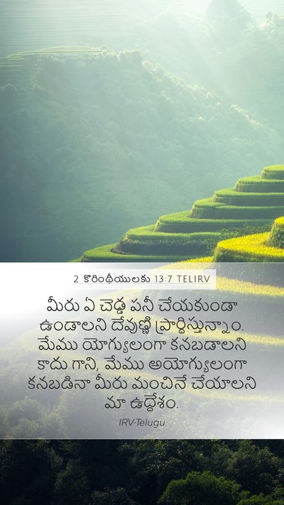 2 కొరింథీయులకు 13:7 TELIRV Mobile Phone Wallpaper - మీరు ఏ చెడ్డ పనీ - Mobile Bible Verse Wallpaper