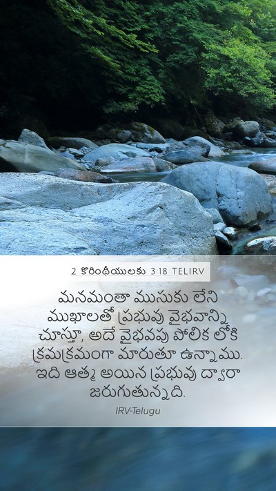 2 కొరింథీయులకు 3:18 TELIRV Bible Verse Image