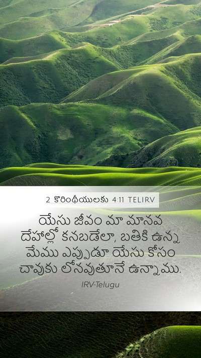 2 కొరింథీయులకు 4:11 TELIRV Bible Verse Image