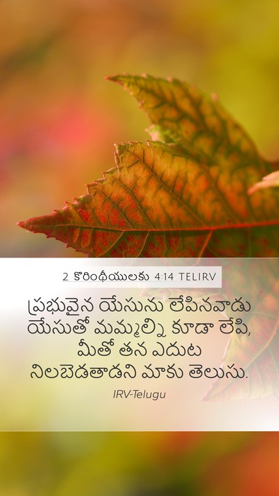 2 కొరింథీయులకు 4:14 TELIRV Bible Verse Image