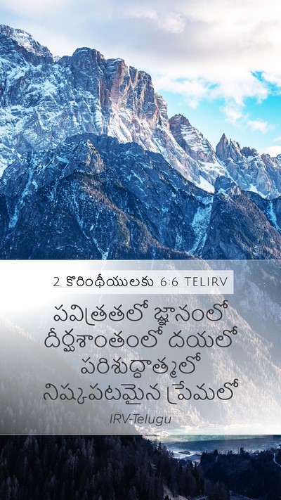 2 కొరింథీయులకు 6:6 TELIRV Bible Verse Image
