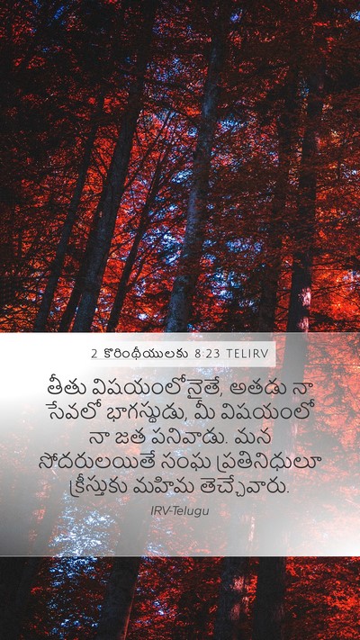 2 కొరింథీయులకు 8:23 TELIRV Bible Verse Image