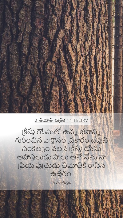 2 తిమోతి పత్రిక 1:1 TELIRV Bible Verse Image